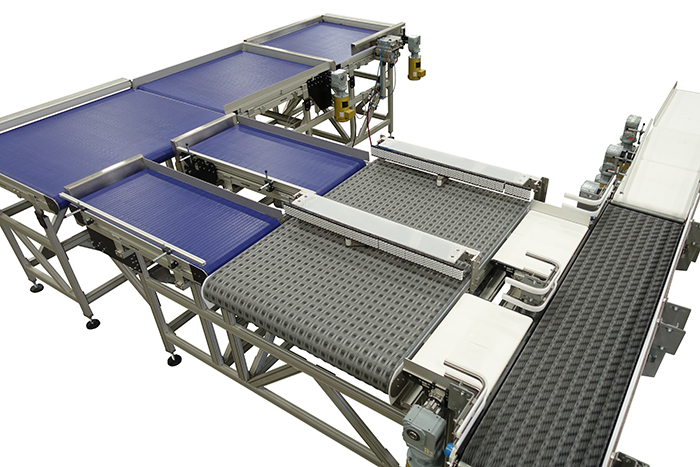 case handling conveyor